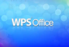 WPS官网个人版和企业版的区别在哪里-WPS免费下载