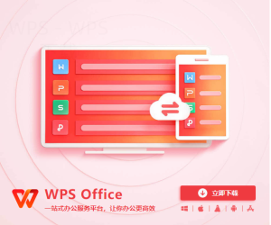 WPS官网和第三方站点下载体验有什么不同-WPS免费下载