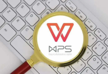 WPS Office下载后表格功能怎么快速入门-WPS免费下载