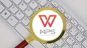 WPS Office下载后表格功能怎么快速入门-WPS免费下载